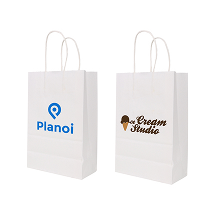 Twisted Handle Kraft Paper Bag (220x160x80mm)