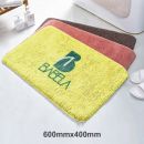 Room Floor Mats 40x60cm