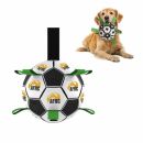 Dog Football With Grab Tabs