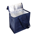 90 gsm Non Woven Cooler Bag